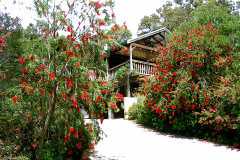 my-home-in-australia